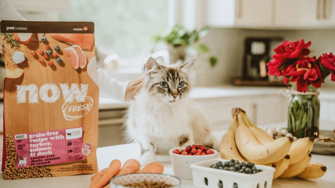 Полезни суперхрани за котки